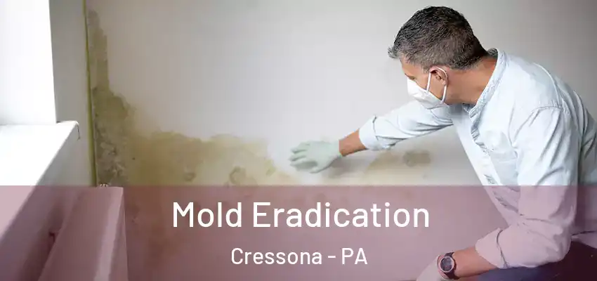 Mold Eradication Cressona - PA
