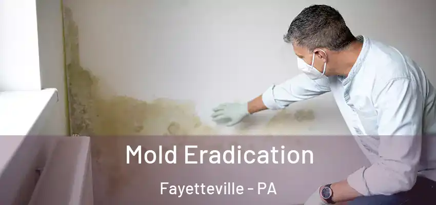  Mold Eradication Fayetteville - PA