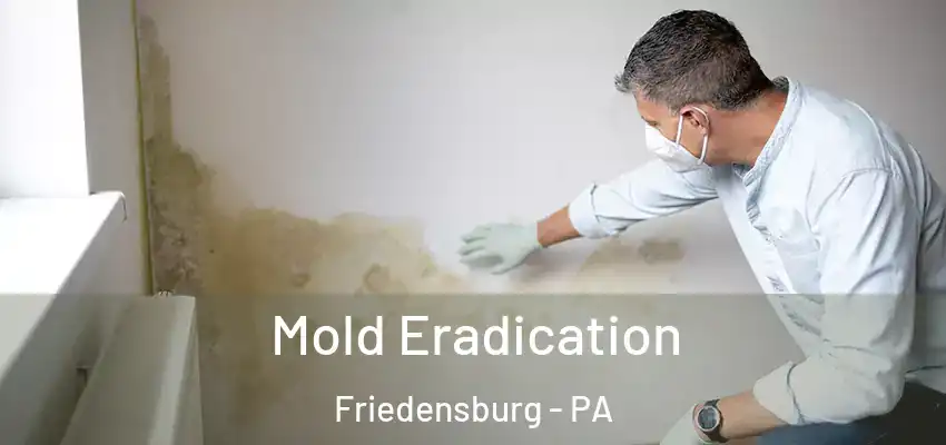  Mold Eradication Friedensburg - PA