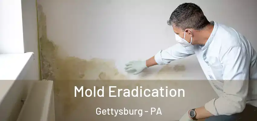Mold Eradication Gettysburg - PA
