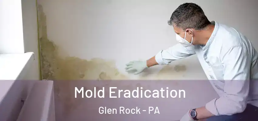  Mold Eradication Glen Rock - PA