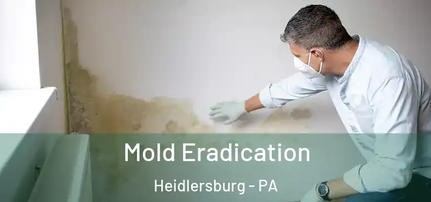 Mold Eradication Heidlersburg - PA