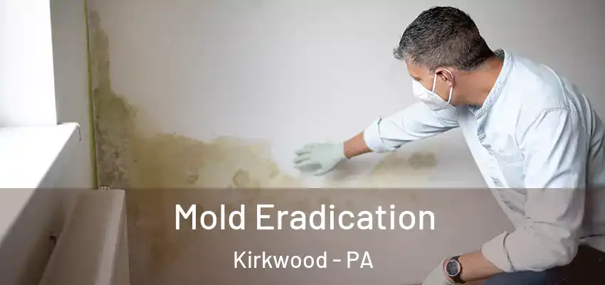 Mold Eradication Kirkwood - PA