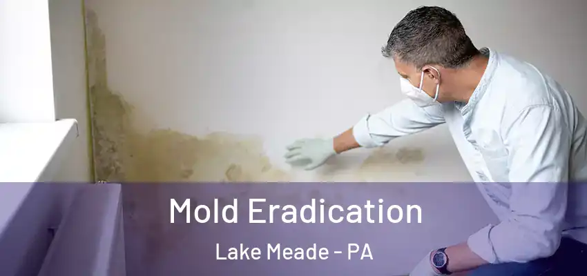  Mold Eradication Lake Meade - PA