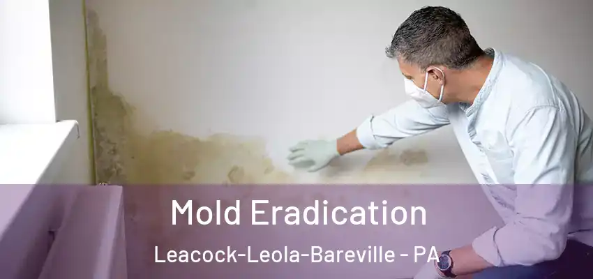 Mold Eradication Leacock-Leola-Bareville - PA