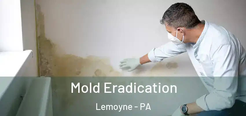 Mold Eradication Lemoyne - PA