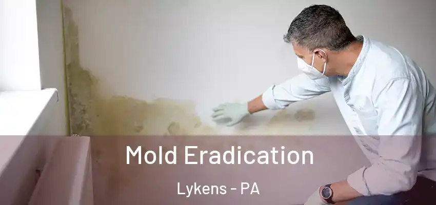  Mold Eradication Lykens - PA