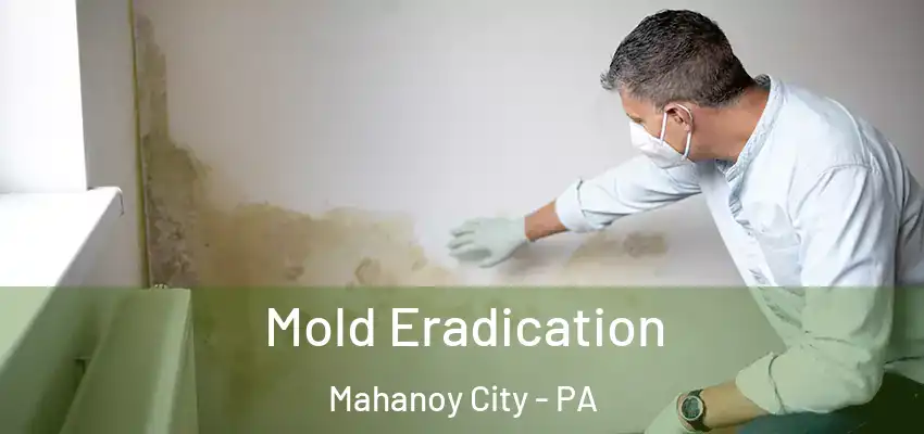  Mold Eradication Mahanoy City - PA