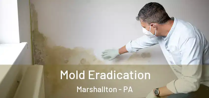 Mold Eradication Marshallton - PA