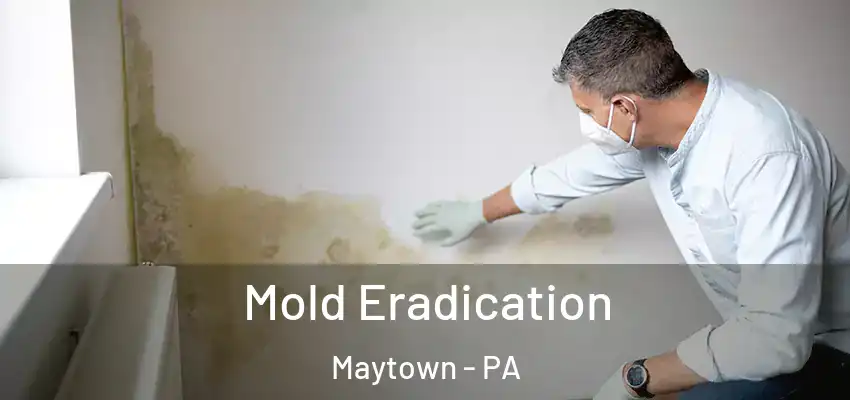 Mold Eradication Maytown - PA