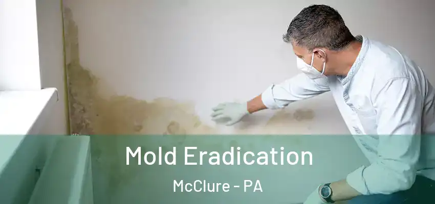 Mold Eradication McClure - PA