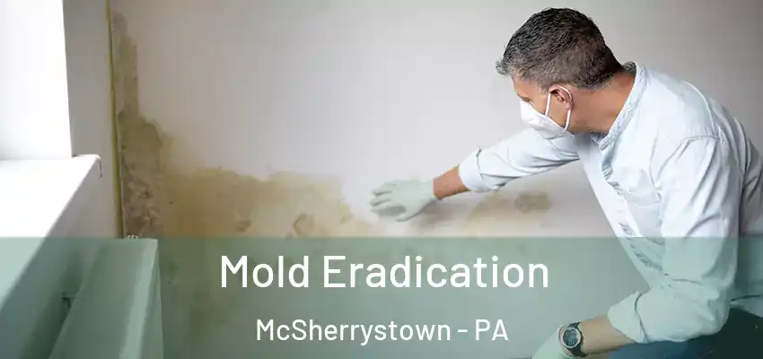  Mold Eradication McSherrystown - PA
