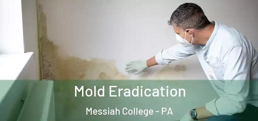 Mold Eradication Messiah College - PA