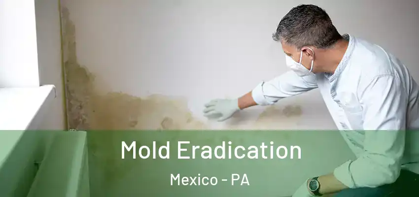 Mold Eradication Mexico - PA