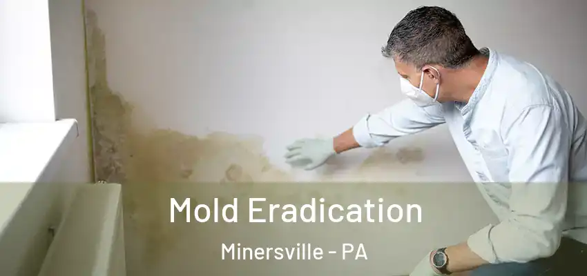  Mold Eradication Minersville - PA