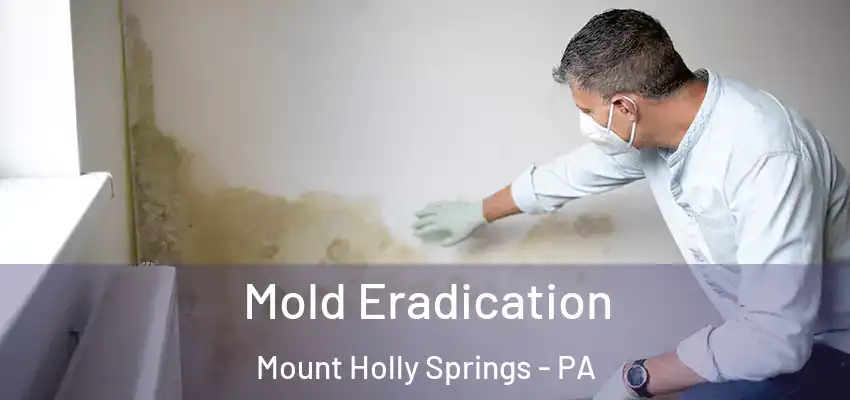  Mold Eradication Mount Holly Springs - PA
