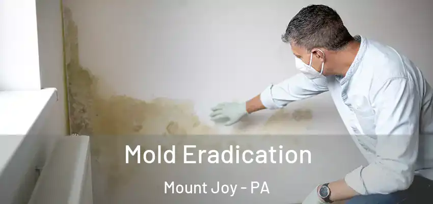 Mold Eradication Mount Joy - PA
