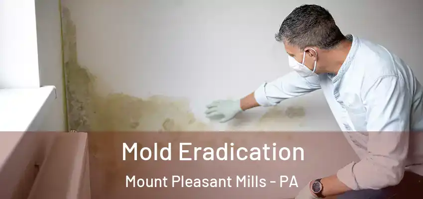 Mold Eradication Mount Pleasant Mills - PA