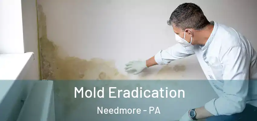Mold Eradication Needmore - PA