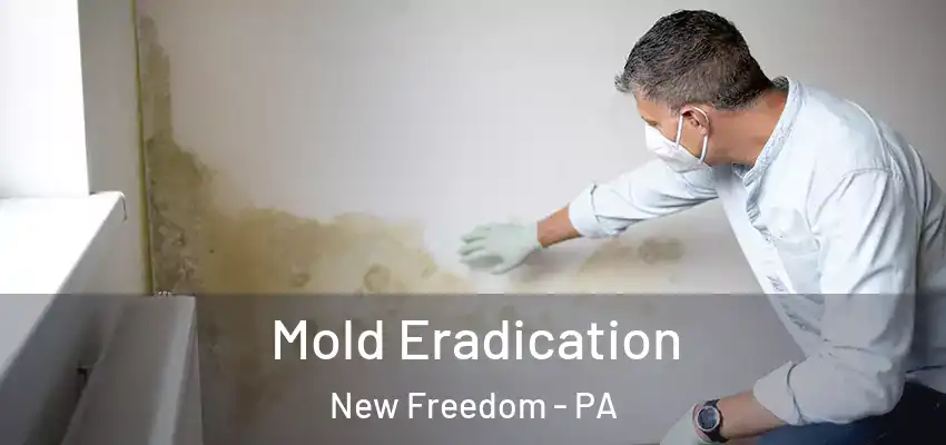  Mold Eradication New Freedom - PA