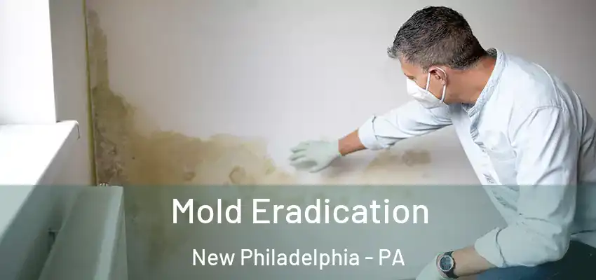  Mold Eradication New Philadelphia - PA