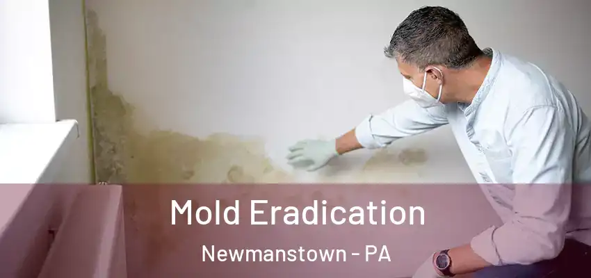  Mold Eradication Newmanstown - PA