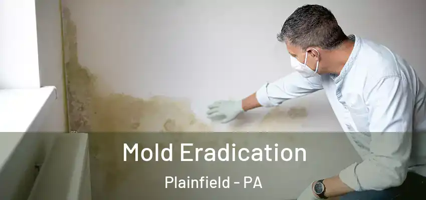 Mold Eradication Plainfield - PA
