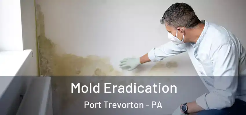 Mold Eradication Port Trevorton - PA