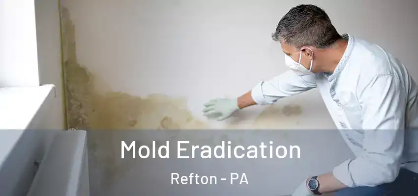 Mold Eradication Refton - PA