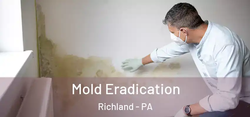  Mold Eradication Richland - PA
