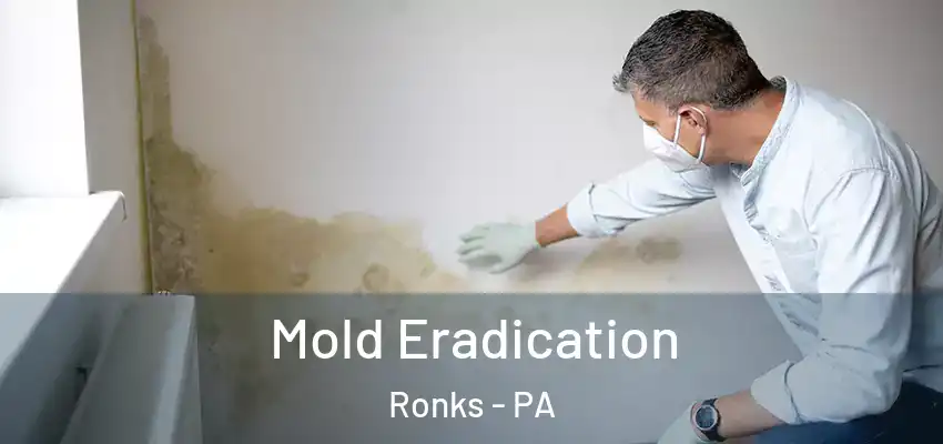 Mold Eradication Ronks - PA
