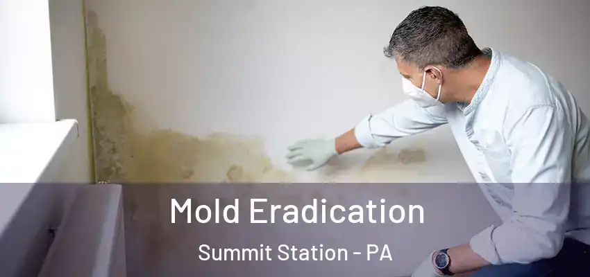  Mold Eradication Summit Station - PA