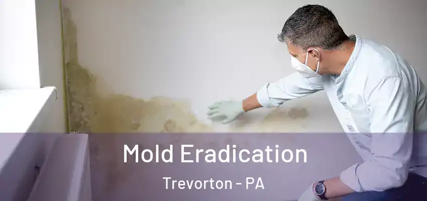 Mold Eradication Trevorton - PA