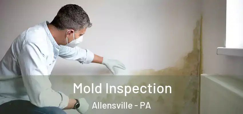  Mold Inspection Allensville - PA