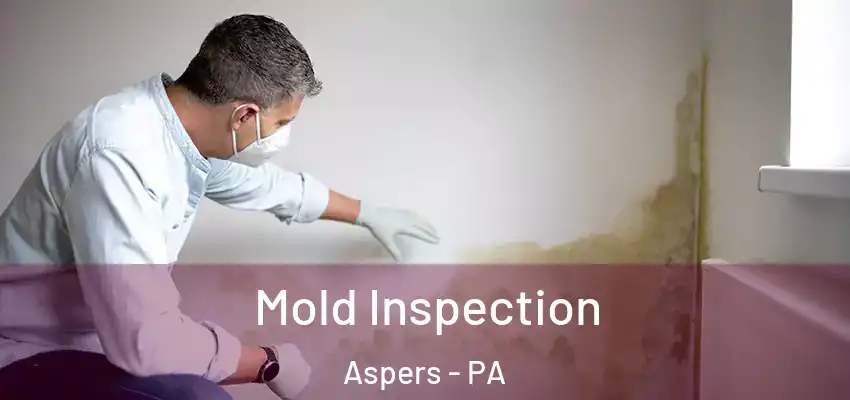  Mold Inspection Aspers - PA