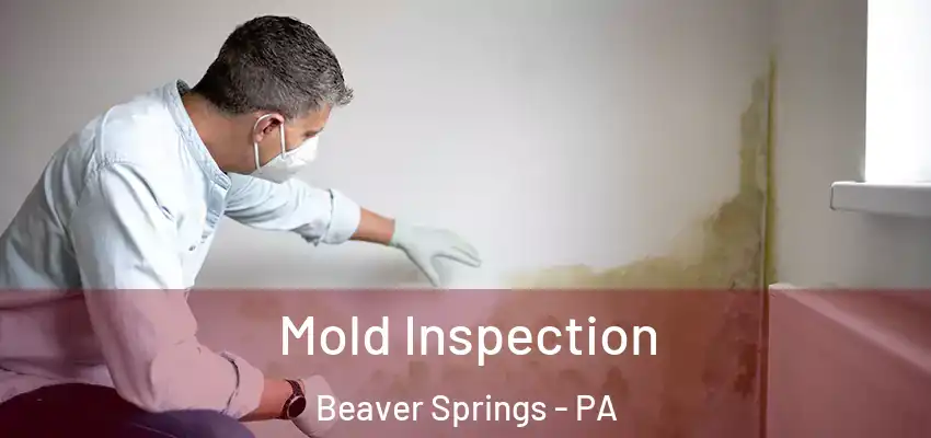  Mold Inspection Beaver Springs - PA