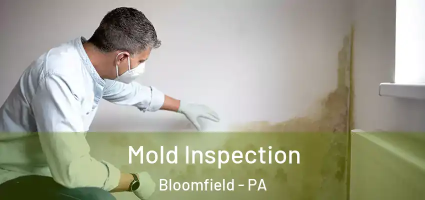  Mold Inspection Bloomfield - PA