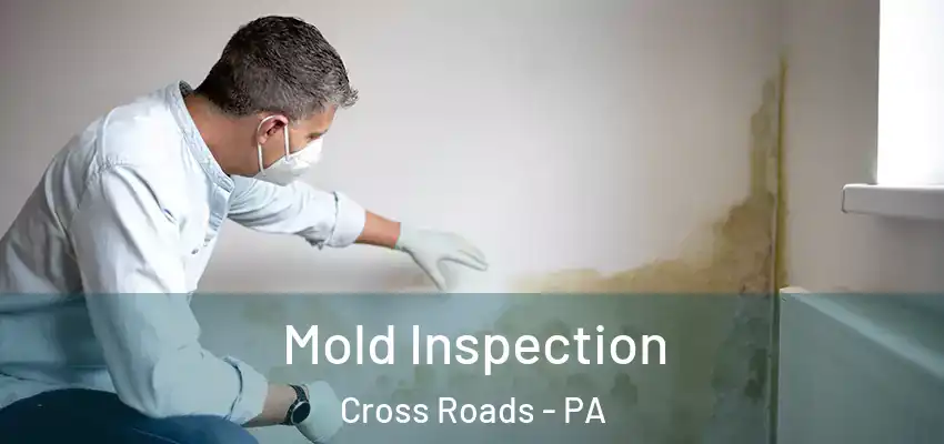 Mold Inspection Cross Roads - PA
