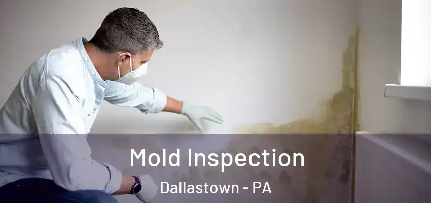  Mold Inspection Dallastown - PA