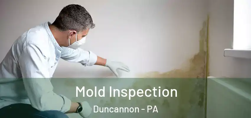 Mold Inspection Duncannon - PA