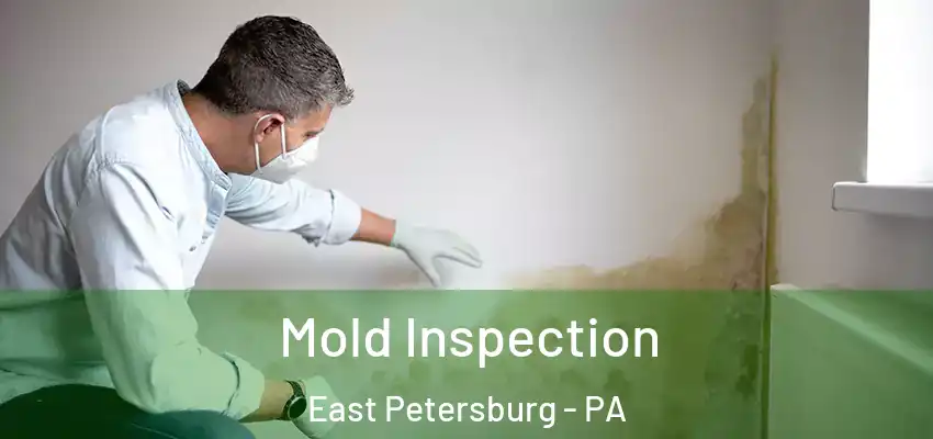 Mold Inspection East Petersburg - PA