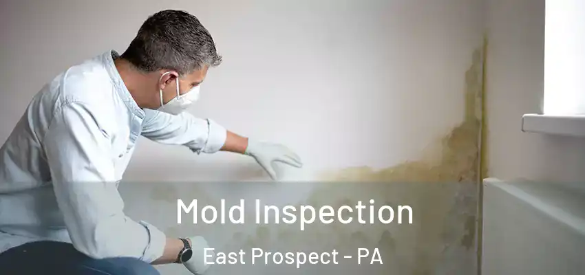 Mold Inspection East Prospect - PA