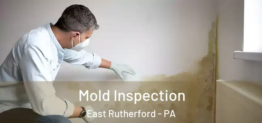  Mold Inspection East Rutherford - PA