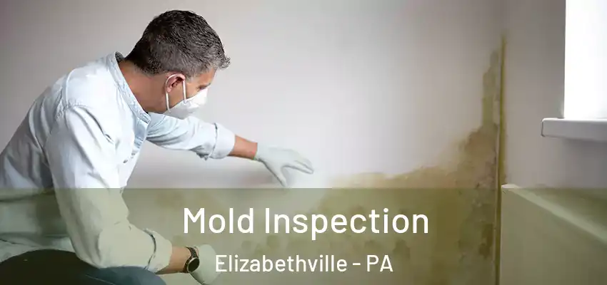 Mold Inspection Elizabethville - PA