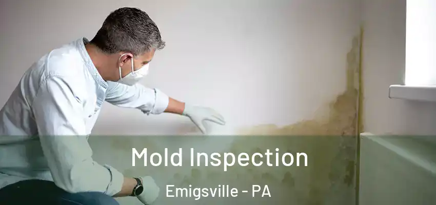 Mold Inspection Emigsville - PA
