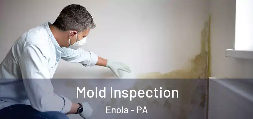 Mold Inspection Enola - PA