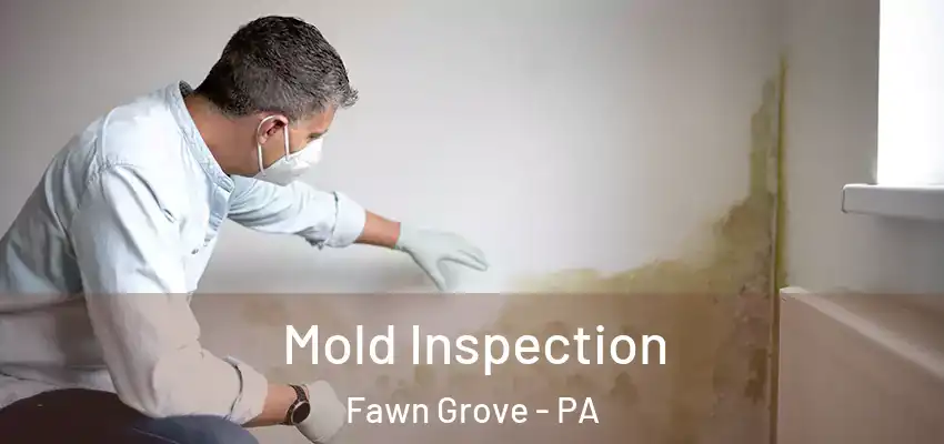  Mold Inspection Fawn Grove - PA