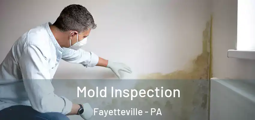 Mold Inspection Fayetteville - PA
