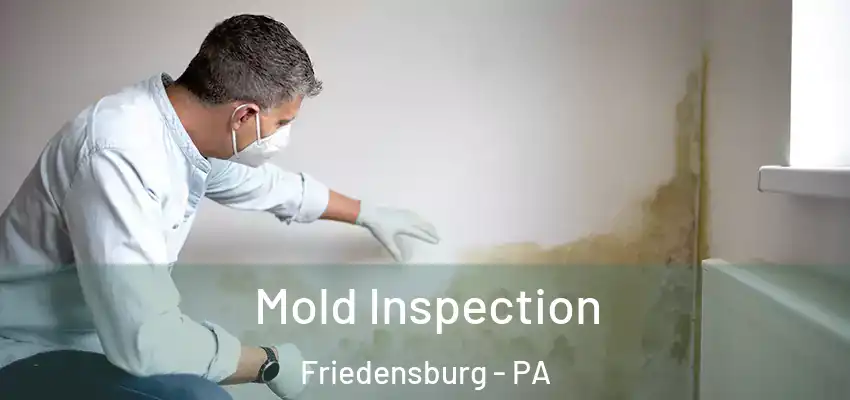  Mold Inspection Friedensburg - PA