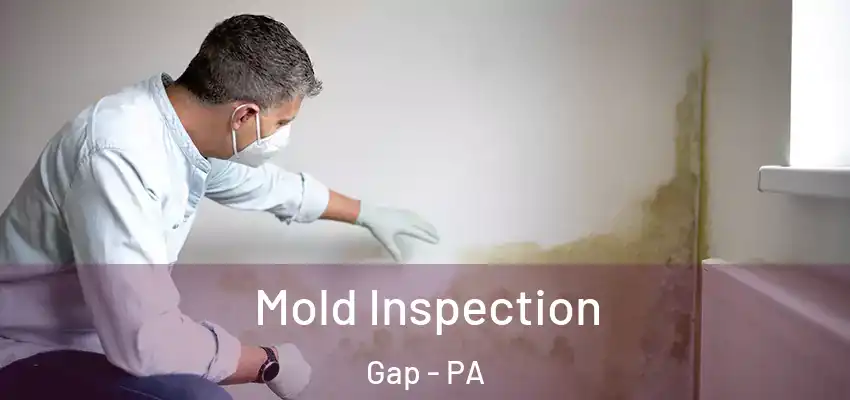 Mold Inspection Gap - PA
